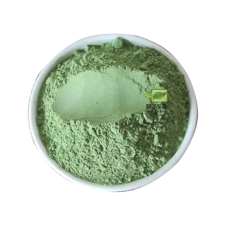 Nature organic spinach extract dehydrated spinach dried spinach powder 80 mesh