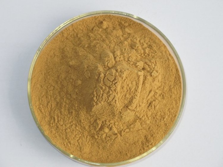 Natural Shitake extract Lentinan powder CAS 37339-90-5