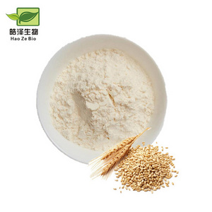 Wholesale High quality Food Grade Vital wheat gluten flour for food additives