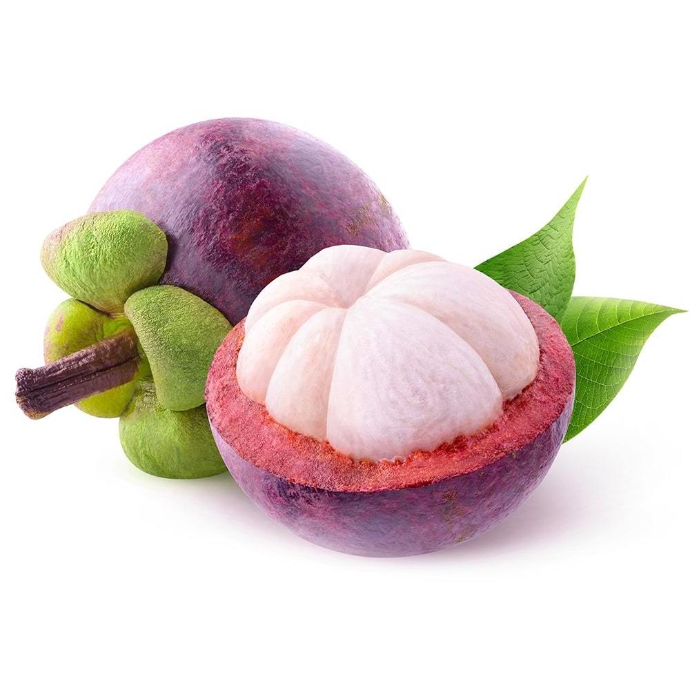 High Quality Mangosteen Extract Powder 40% Mangostin Water Soluble Organic Mangosteen Fruit Powder Mangosteen Powder