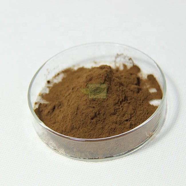 Natural Miracle Berry fruit Extract Mysterious Fruit miraculin powder