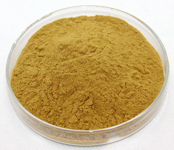 Factory bulk Water Soluble Ginkgo Biloba leaf Extract capsule