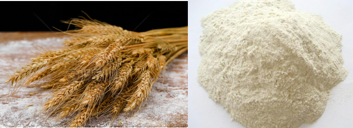 High quality wheat gluten food additives vital wheat gluten flour