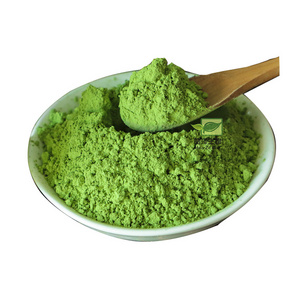 Nature organic spinach extract dehydrated spinach dried spinach powder 80 mesh