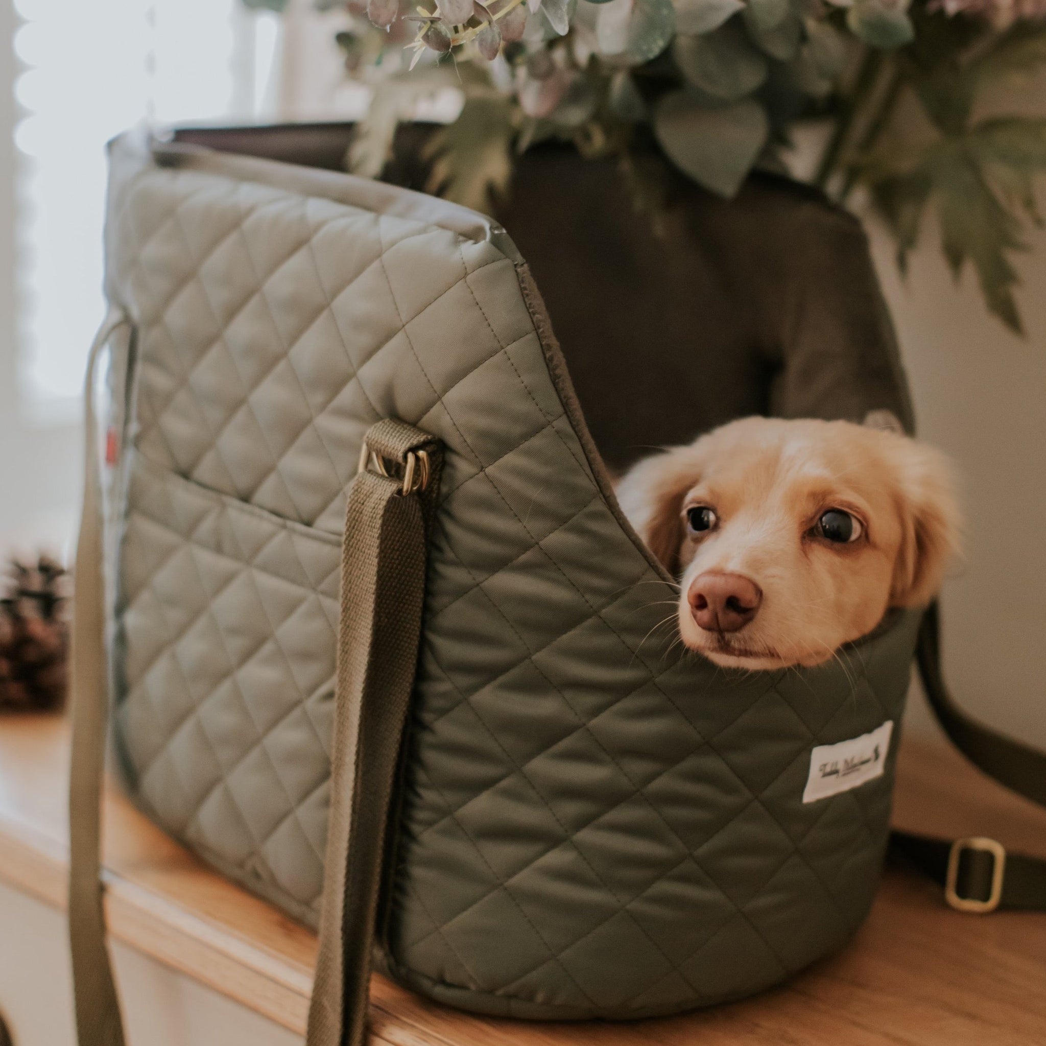 Wholesale luxury Soft dog Carrier Pet travelling bag for Dog Cat