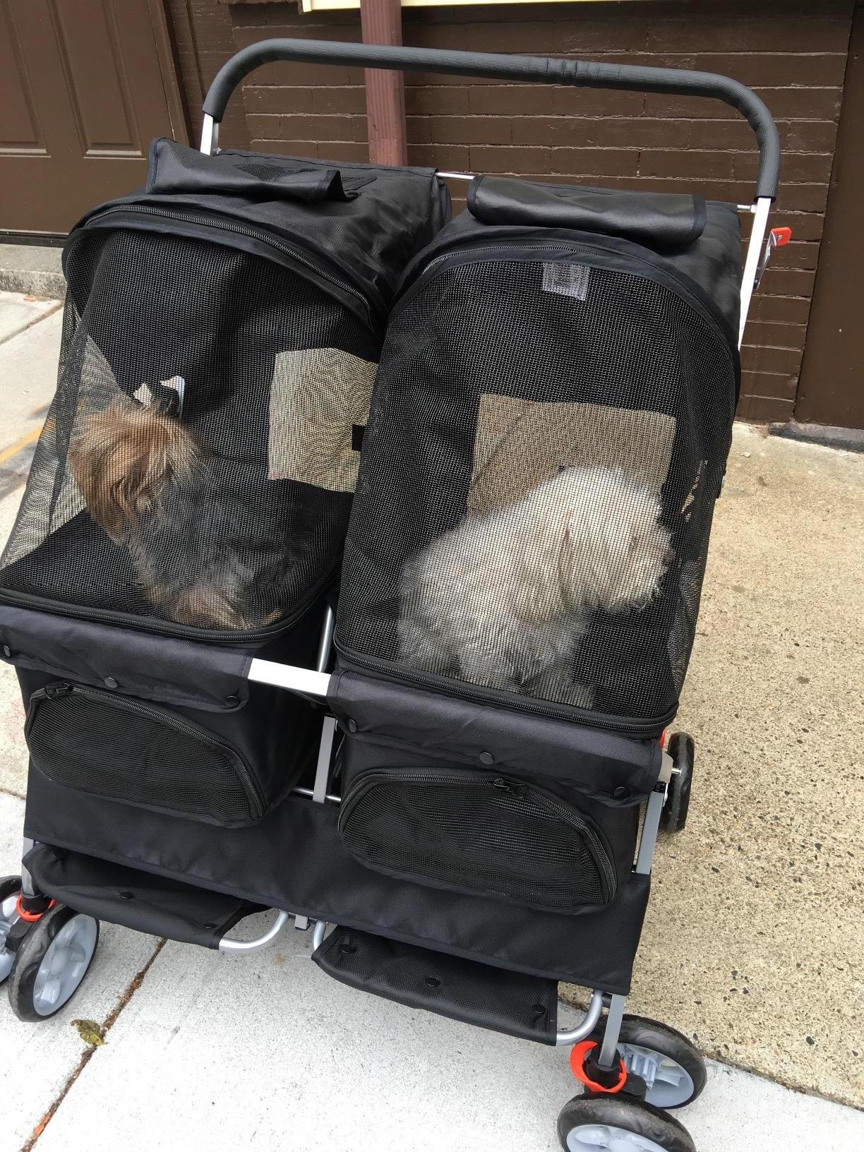 Double Pet Stroller - 4 Wheels Lightweight Two Puppy, Dog & Cat Strollers - Best for Walking  Foldable Pets Twin Carriage