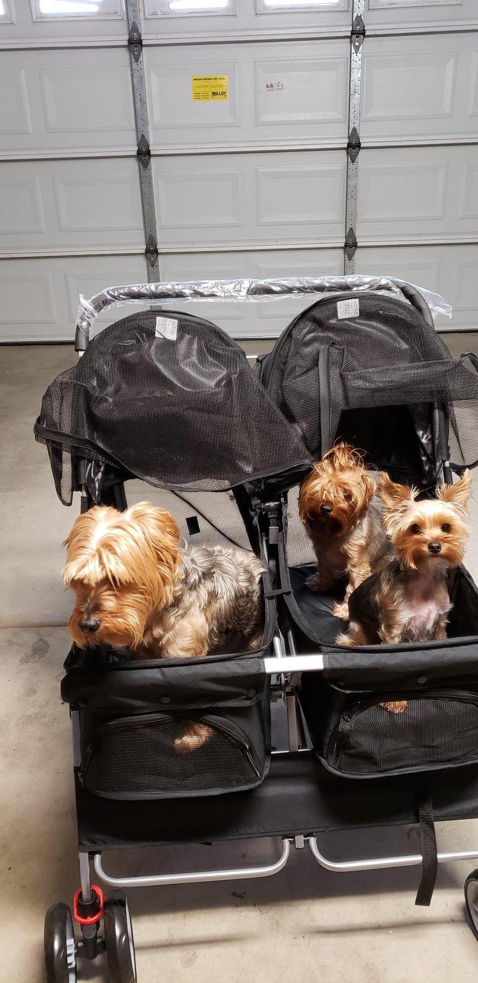 Double Pet Stroller - 4 Wheels Lightweight Two Puppy, Dog & Cat Strollers - Best for Walking  Foldable Pets Twin Carriage