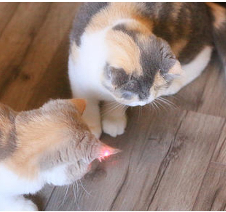 Wholesale Pet Cat Toys Products Purple Green Red Interactive Pet Cat Laser Pointer Toys Interactive for Cats