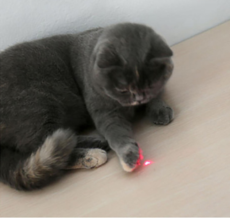 Wholesale Pet Cat Toys Products Purple Green Red Interactive Pet Cat Laser Pointer Toys Interactive for Cats