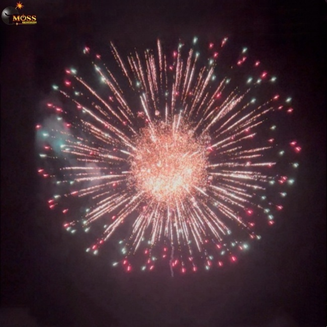 Wholesale Pyrotechnics Fireworks for New Year 6 Inch Display Shells Fireworks