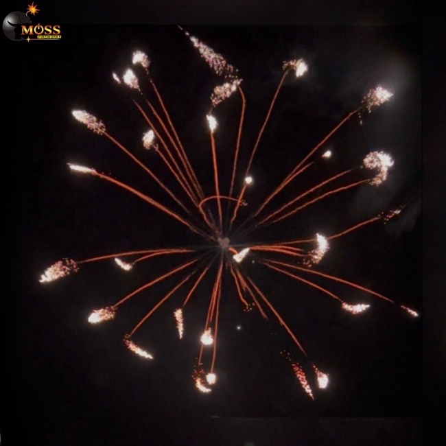 6 Inch Fireworks Shells for Sale Salute Firework Display Shell Pyrotechnics New Year Christmas Wedding Firecrackers