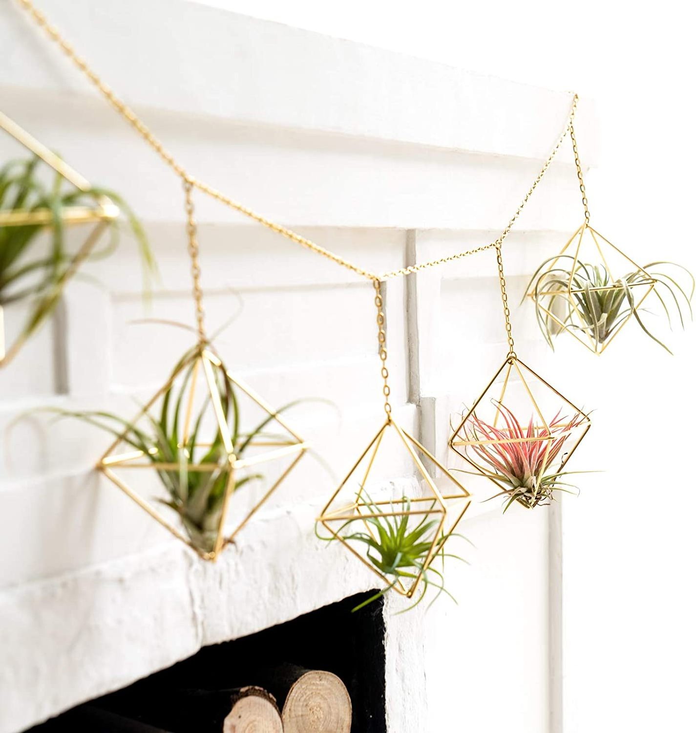 Mini Metal Hanging Air Plant Holder  plant Rack Hanger for Home Office Wall Decor Wedding Ornament