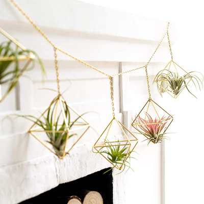 Mini Metal Hanging Air Plant Holder  plant Rack Hanger for Home Office Wall Decor Wedding Ornament