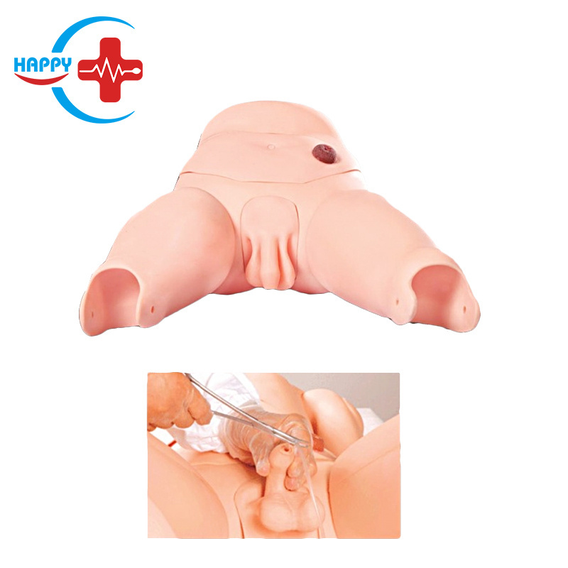 HC-S124 Advanced Male Catheterization model/Urinary system Nursing Training Manikin