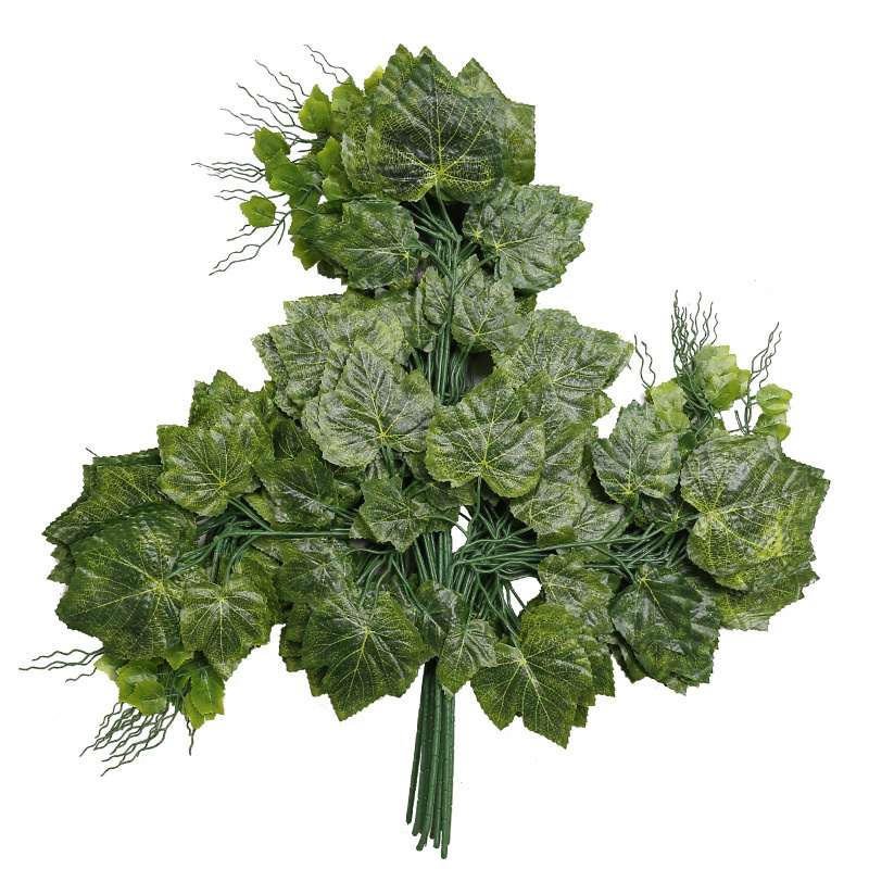 Wholesale Roll Grape Leaves Leaf Rolling Decoration Artificial A Roll Buy Fresh Grape Leaves