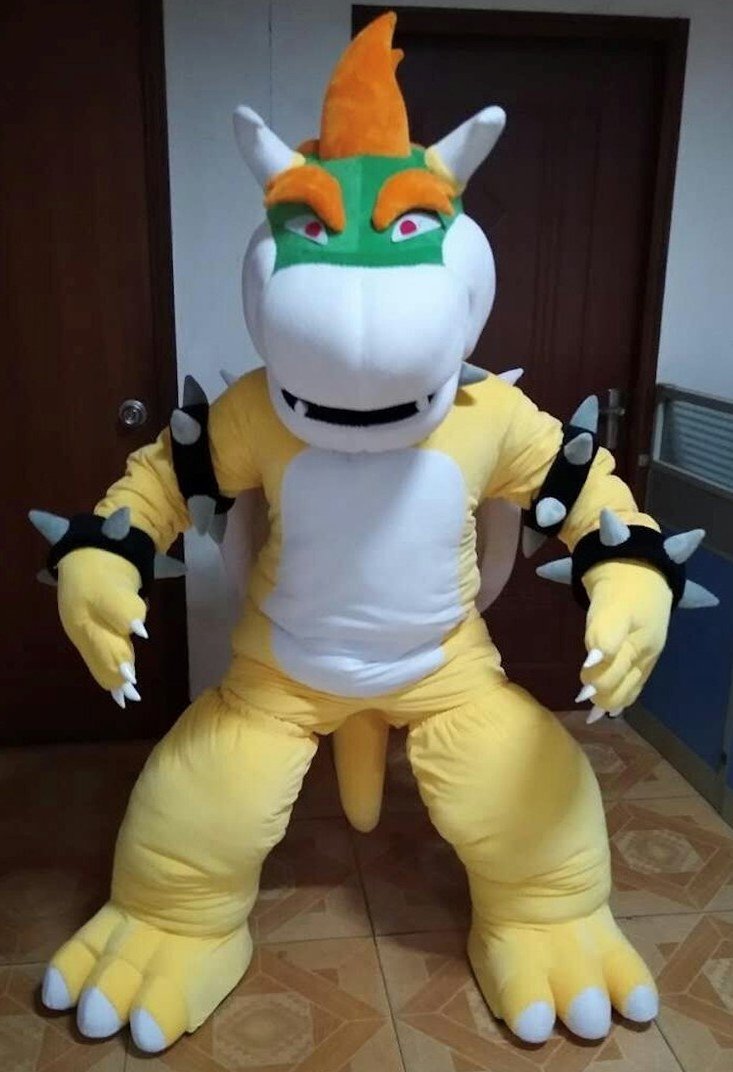 Custom animal dinosaur character bowser mascot costume for adults