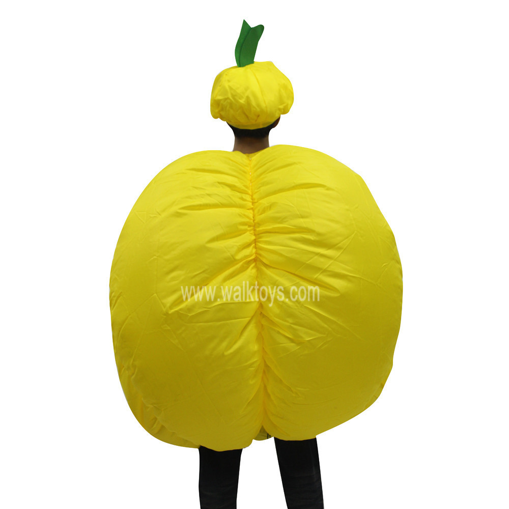 Wholesale Funny Adult pumpkin Inflatable Costume For Halloween