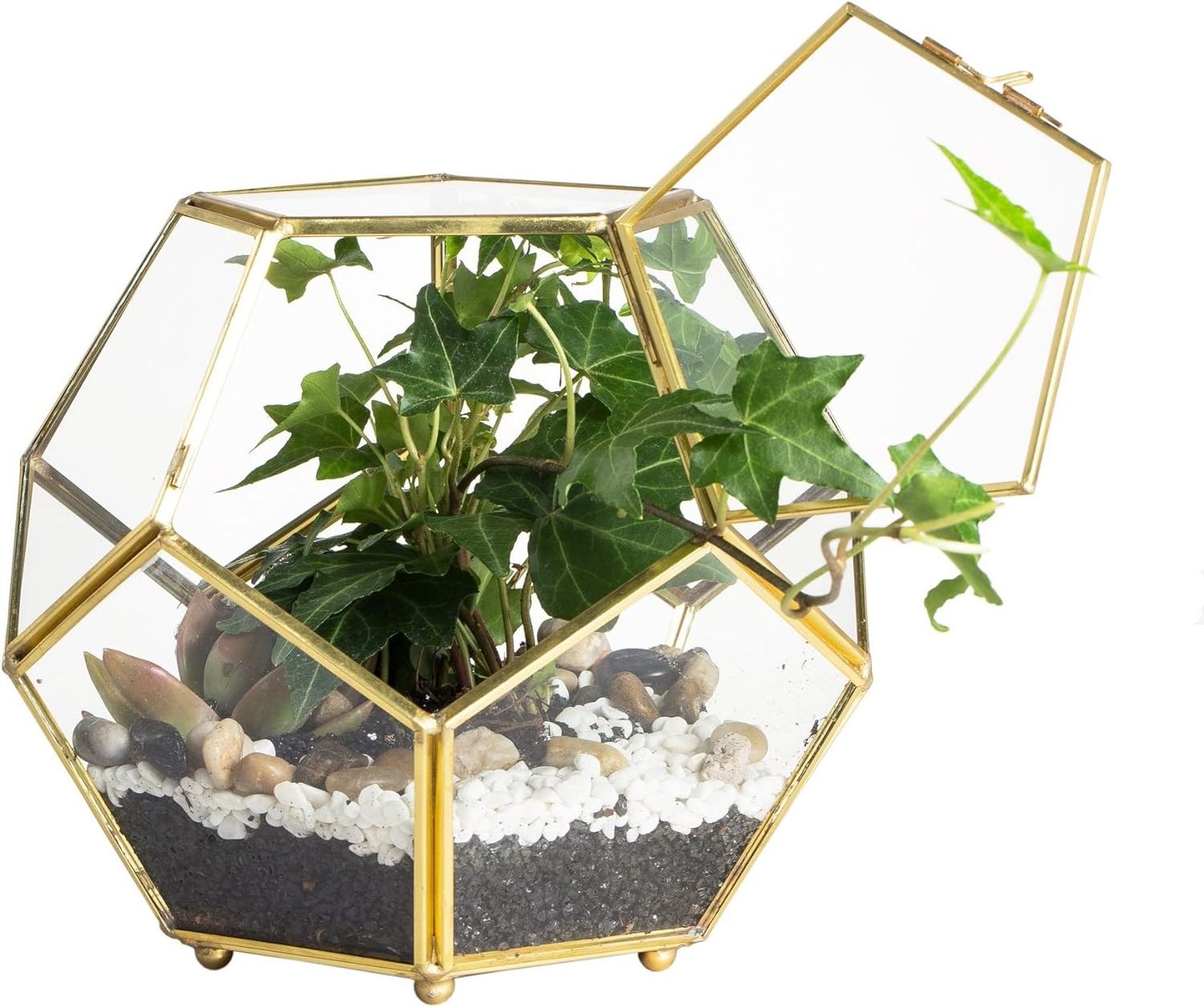 Metal Terrarium Green House For Garden Decoration And Indoor Decoration In Export Quality With Antique Finished In Wholesale