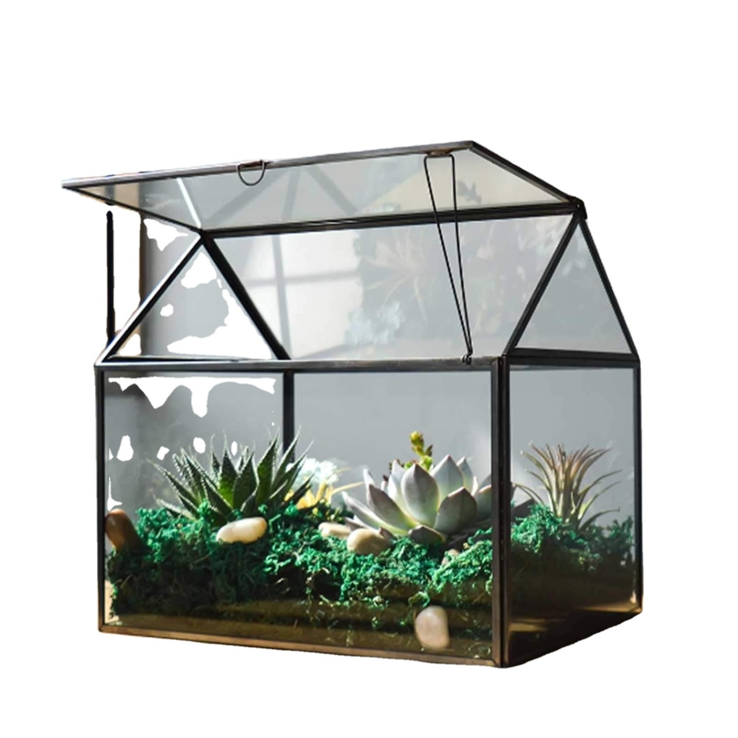 Brass Metal Mini Green House In For Garden And Outdoor usage Or Metal Terrarium In Glass And Brass With Antique Finished