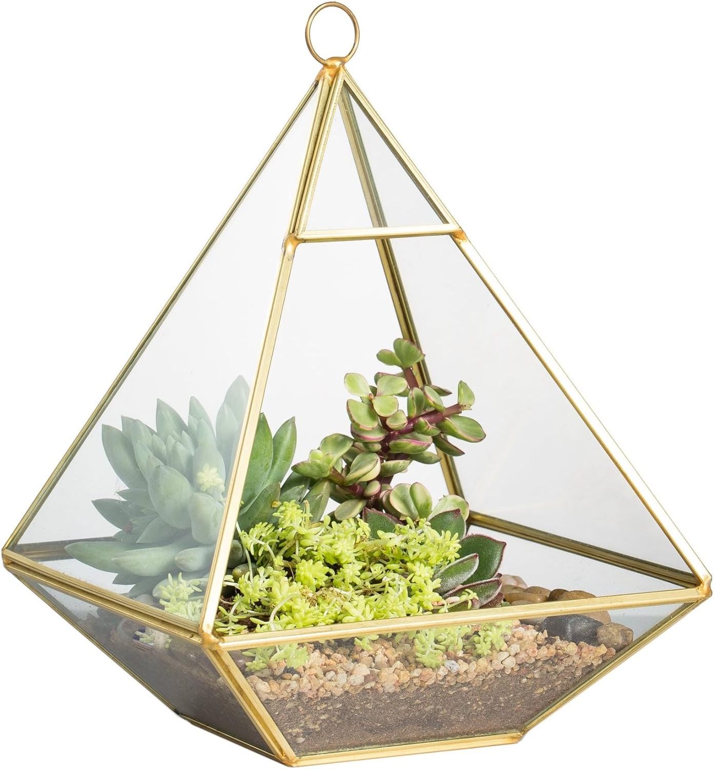 Amazon Hot Selling Metal  And Glass terrarium In Antique Finished And Glass green House For Decoration In Garden And Indoor