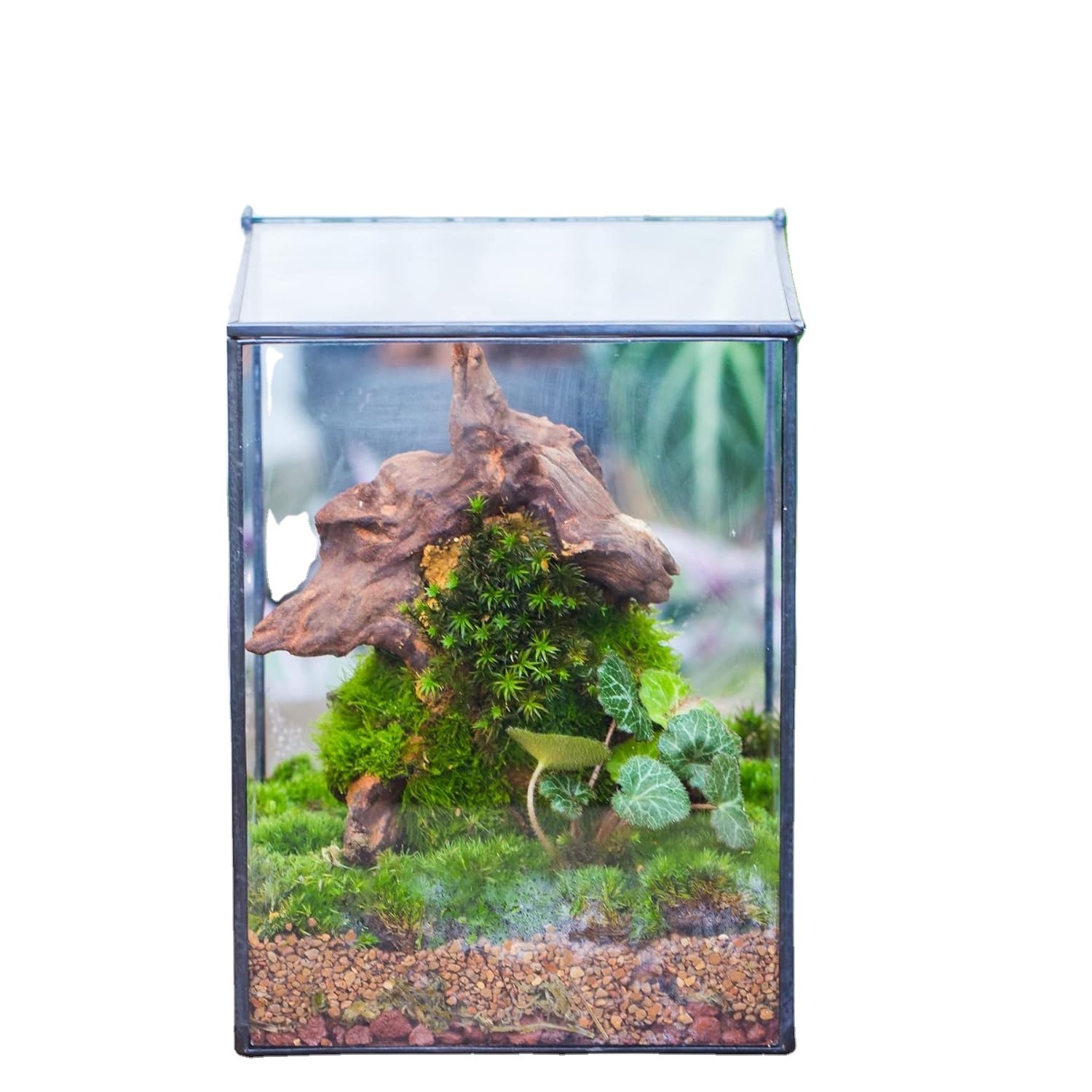 Iron Metal Mini Green House For Garden Plants Or Mini Plants In Antique Finished With durable quality In Cheap Prices