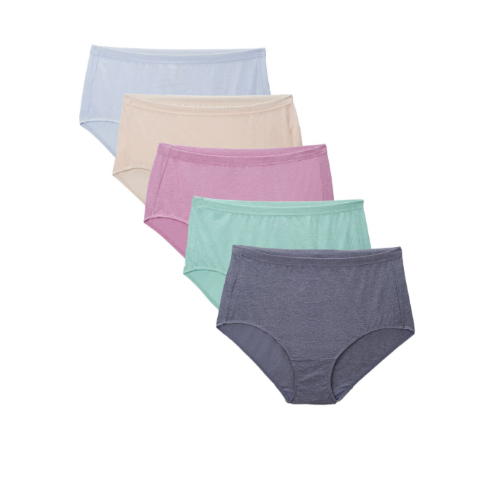 New Design womens sexy underwear Stretch Briefs Soft Underpants Ladies Panties Flexible Wear Bikini Women Export From BD