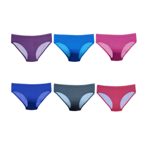 New Design womens sexy underwear Stretch Briefs Soft Underpants Ladies Panties Flexible Wear Bikini Women Export From BD