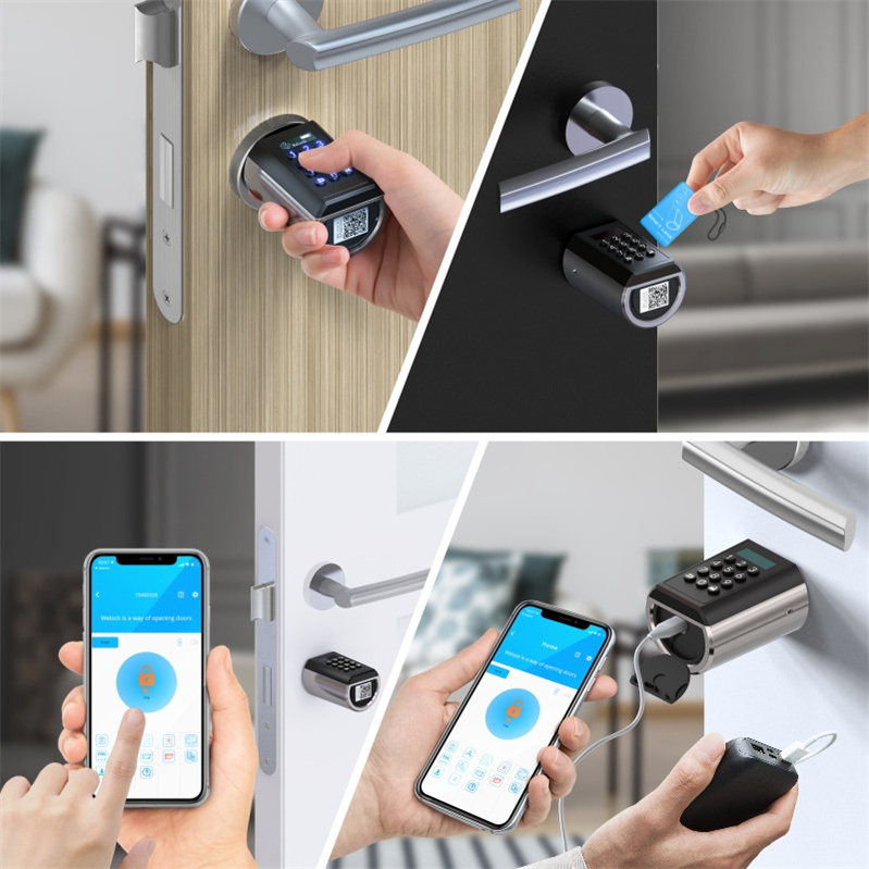 WELOCK Outdoor Waterproof IP65 Safety Gate Door Smart Double combination Lock Wifi App Hotel Lock System Ble App Rfid Card