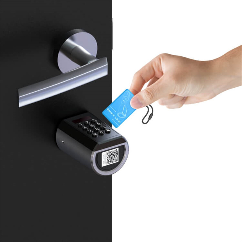 WELOCK Outdoor Waterproof IP65 Safety Gate Door Smart Double combination Lock Wifi App Hotel Lock System Ble App Rfid Card