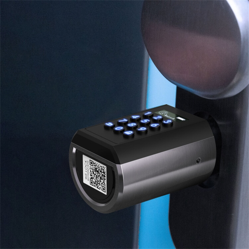 WELOCK Smart lock garage door lock 5in1 unlocking ways electronic door knob