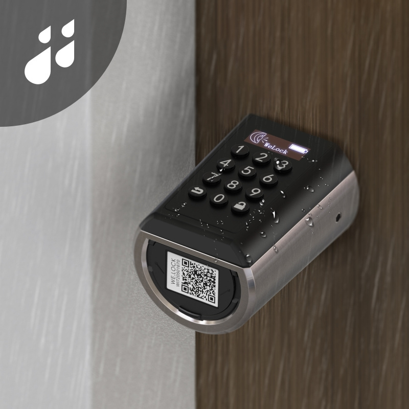 WELOCK outdoor hotel keyless smart door lock IP65 Waterproof hot sale for hotel/office/house