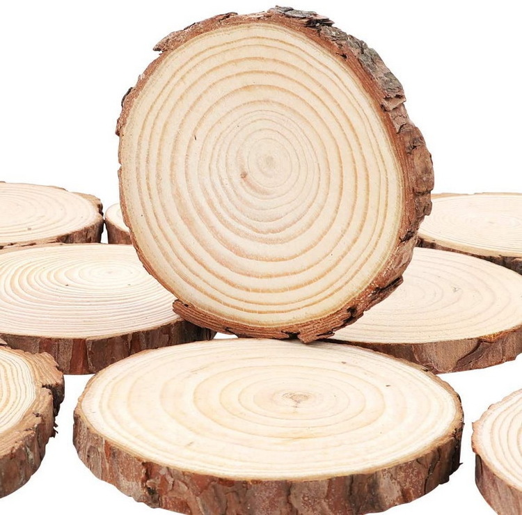 Eco-friendly Unfinished Natural Round Pine Wood Tree Disc Wooden Log Tree Slices for DIY Crafts