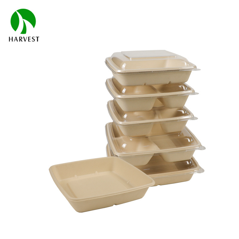 1000 ml Paper sugarcane bagasse disposable compostable container food plates with lid