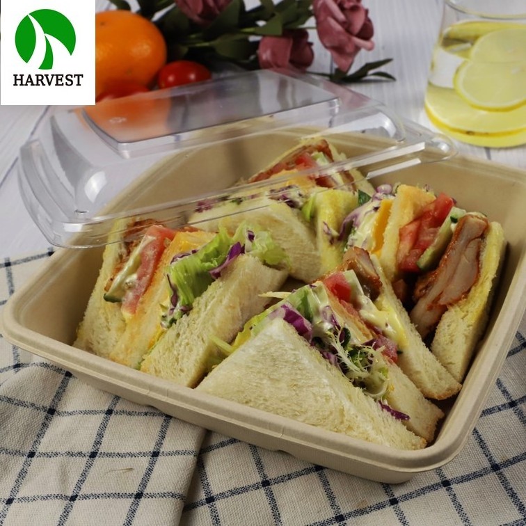 1000 ml Paper sugarcane bagasse disposable compostable container food plates with lid