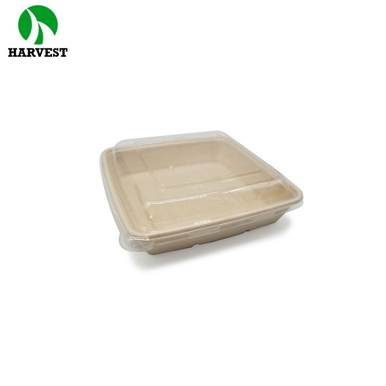 1000 ml Paper sugarcane bagasse disposable compostable container food plates with lid