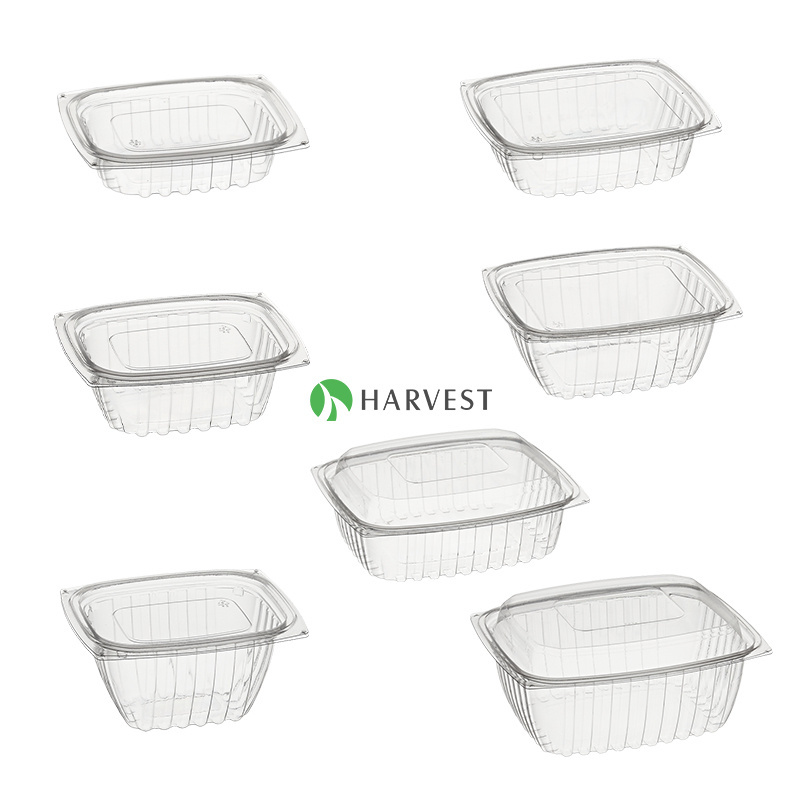 Disposable Packaging Fruit Strawberry Tomato Punnet Plastic Salad Container Box