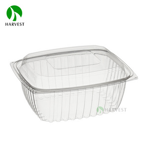 Disposable Packaging Fruit Strawberry Tomato Punnet Plastic Salad Container Box