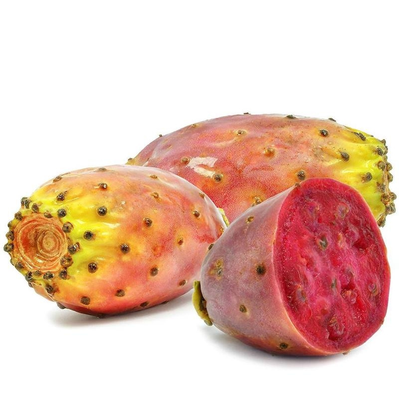 Prickly Pear Seed Oil - Bulk