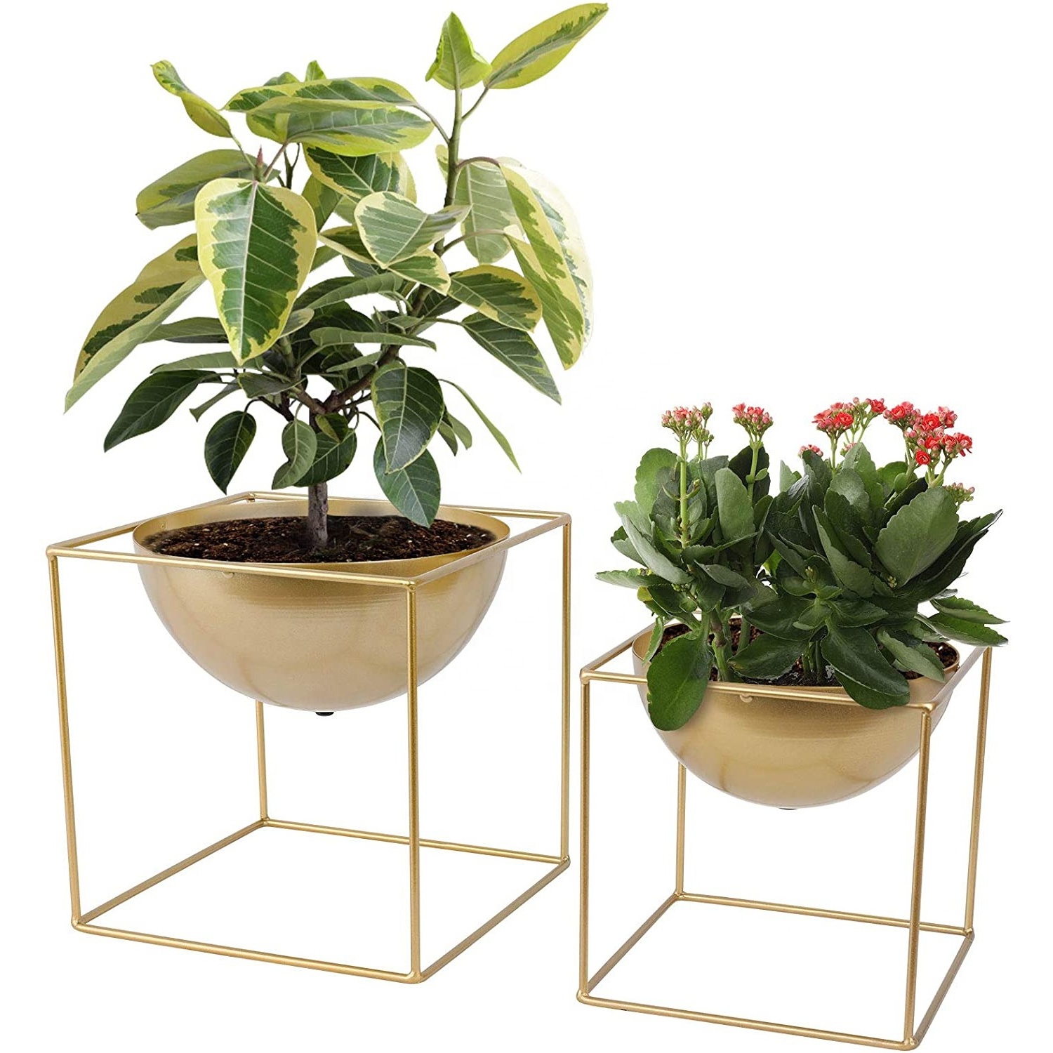 Set of 2 table Top Metal planters with square wire stand golden finished Flower pots Flower planters Customized