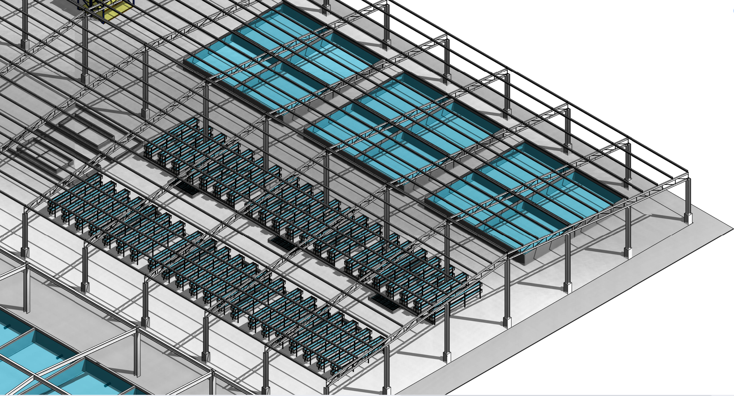 Profession Design Indoor Mini RAS Shrimp System High Efficiency Fish Farming Aquaculture Equipment