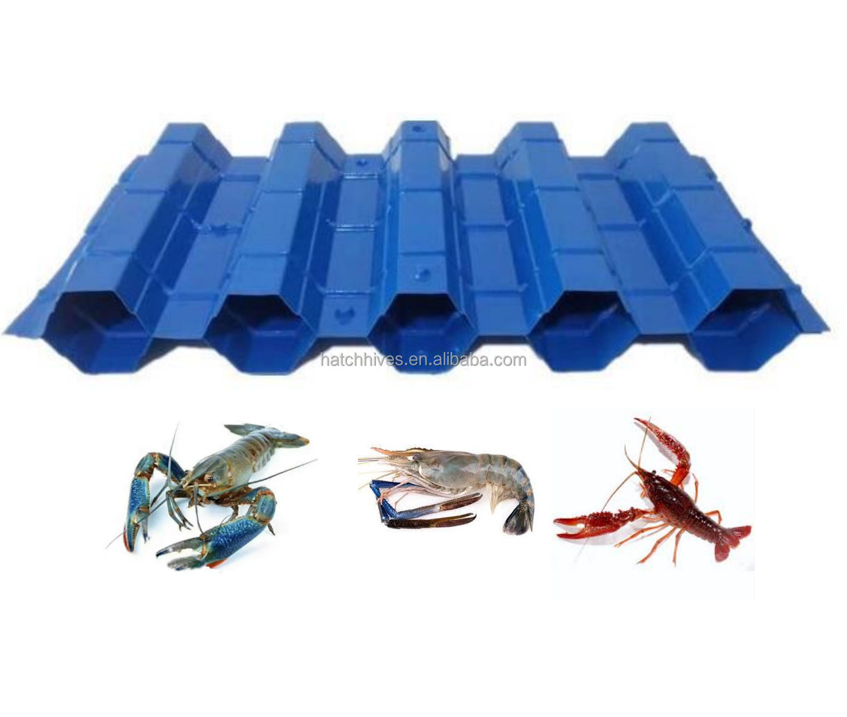 Crawfish houses to improve crayfish survival for indoor fish ponds, shrimp aquaculture equipment