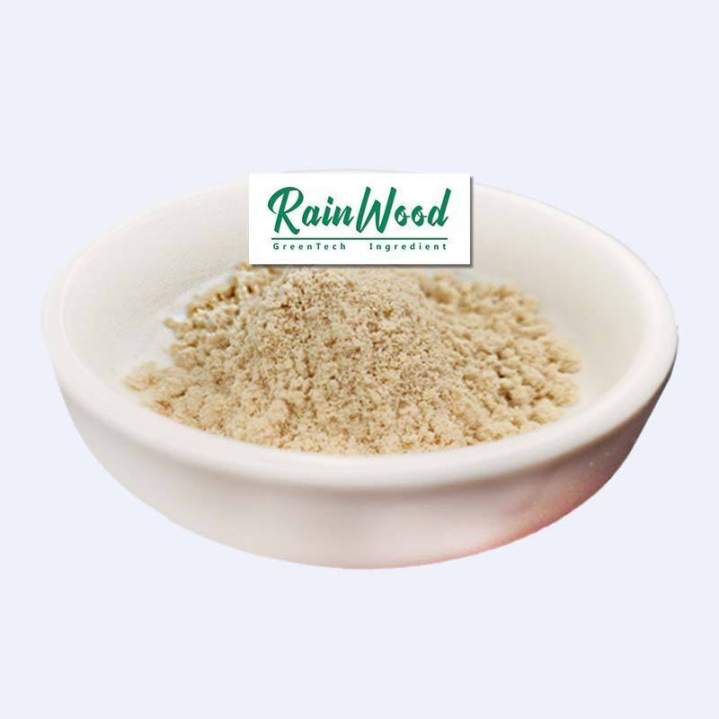 Rainwood Wholesale Bulk Oat Beta Glucan Powder Beta-Glucan Oat Extract Beta Glucan