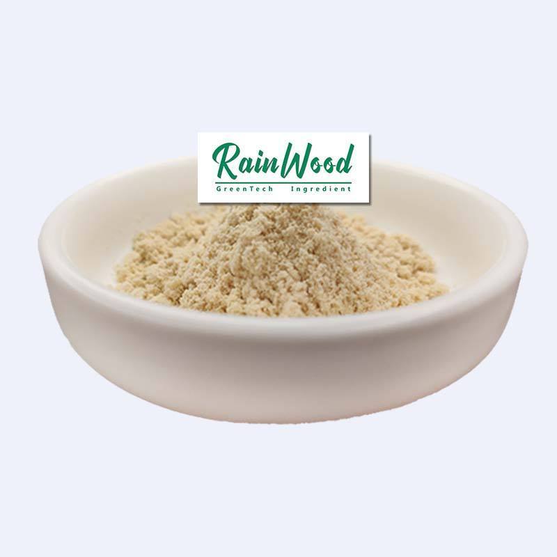 Rainwood Wholesale Bulk Oat Beta Glucan Powder Beta-Glucan Oat Extract Beta Glucan