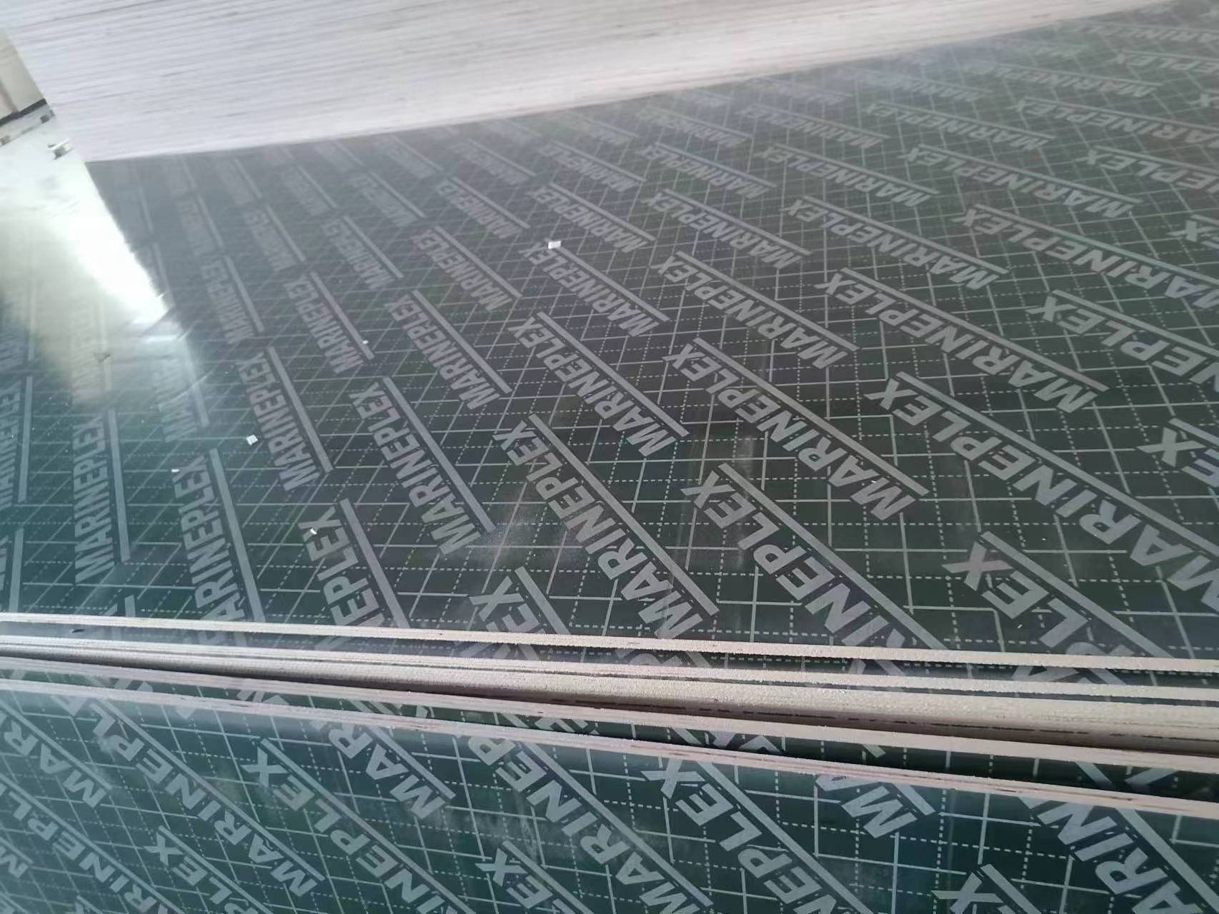 haoxin Wholesale 12mm 15mm 17mm Laser Cut Plywood poplar Plywood Plywood Sheet 4x8 Timber Melamine Board Pvc Sheet