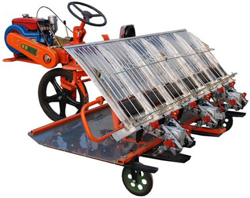 6 Rows 8 Rows Rice Transplanter Agricultural Driving Type Riding Machine Rice Planter Paddy Planting Machine