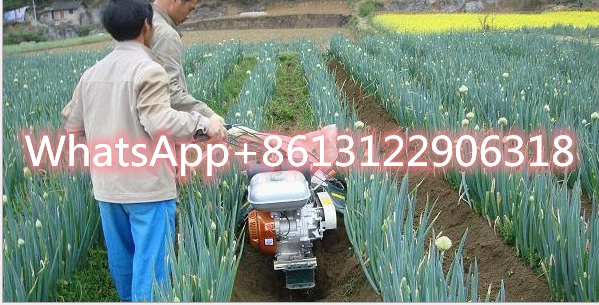 Scallion Cultivator electric Scallion Rotary tillage low price heavy duty rotary diesel engine power tiller