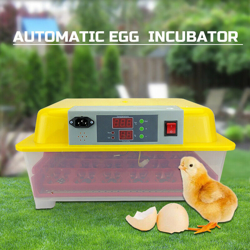 Hot sale 112 256 egg incubator mini chicken egg incubator for sale incubators hatching eggs