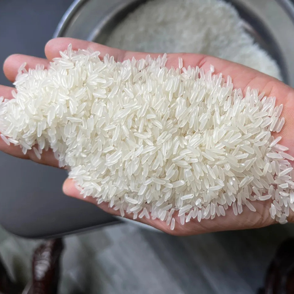 Cheapest Price Vietnam Long Grain Jasmine Rice Low Rate Top Quality White Rice OEM Service Free Sample