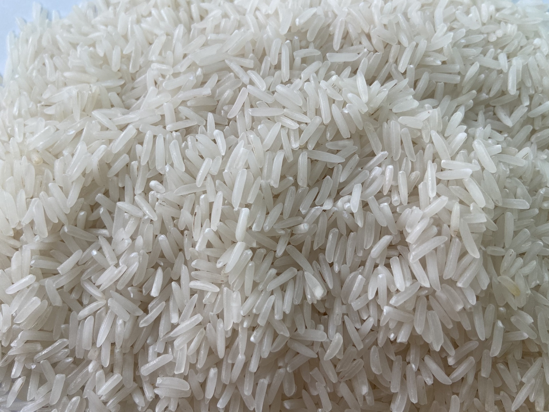 Cheapest Price Vietnam Long Grain Jasmine Rice Low Rate Top Quality White Rice OEM Service Free Sample