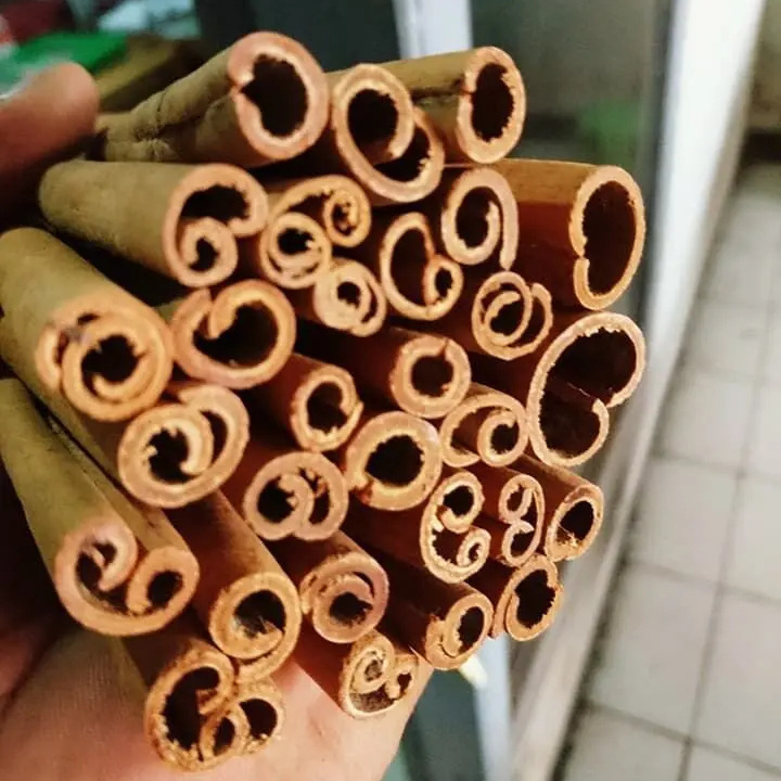 Unbelievable Price Cigarette Cassia - Vietnam Spices Short Stick Cinnamon Exporter - Ready For Delivery